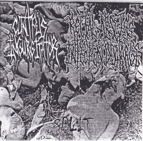 Cunt Pus Ingurgitator : Cunt Pus Ingurgitator - Rectal Abscess Infection Discharge